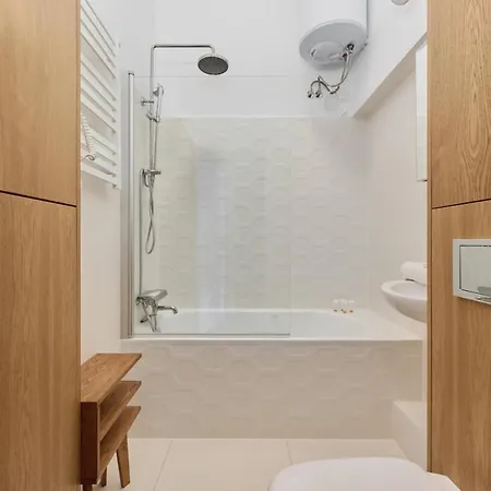 Spacious Tenement With 1 Bedroom And Balcony By Renters Apartment *